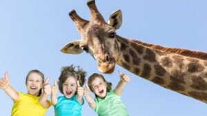 Топ-8 парків розваг у Німеччині на 2025 рік