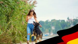 Правила вигулу собак у Німеччині 2025