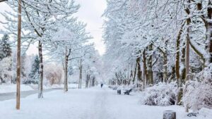 Зимовий армагедон у Німеччині