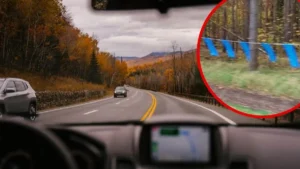 Сині стрічки на узбіччях доріг