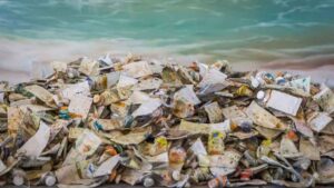 Улюблений туристичний напрямок німців перетворюється на сміттєзвалище