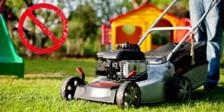 Заборона газонокосарок у Німеччині. Нові екологічні ініціативи